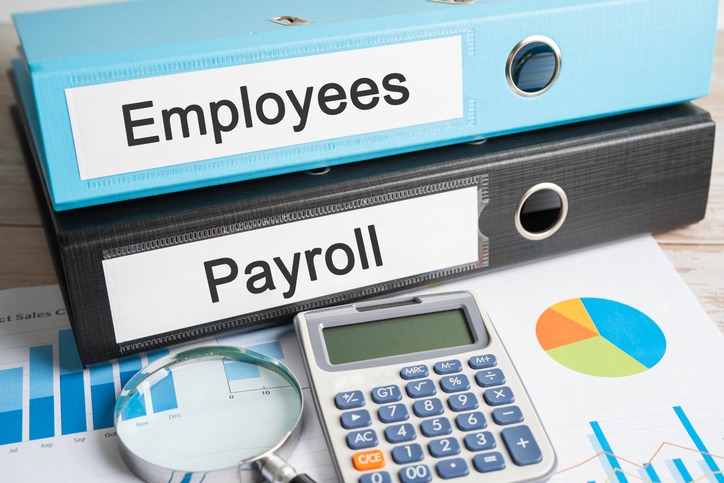 Payroll and employee records with charts and accounting tools in DuPage County, IL